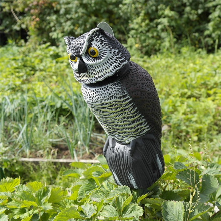 Отпугиватель птиц "Сова-М" Отпугиватель птиц "Сова-М"